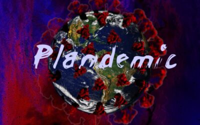 Frankie Zing – Plandemic