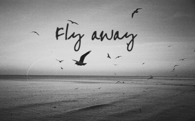 Bryan Mullin – Fly Away