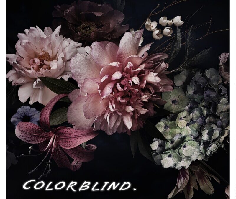 Elysian Composer – colorblind