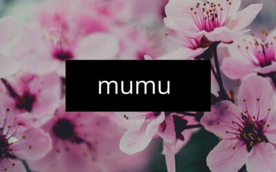 Vel_bndz – Mumu