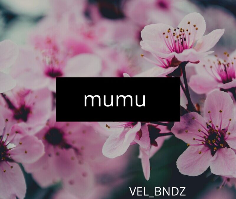 Vel_bndz – Mumu