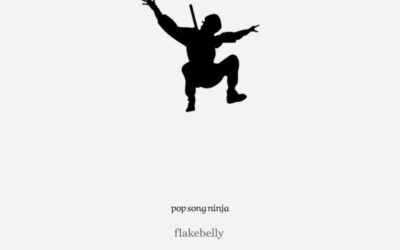 flakebelly – Pop Song Ninja