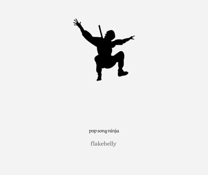 flakebelly – Pop Song Ninja