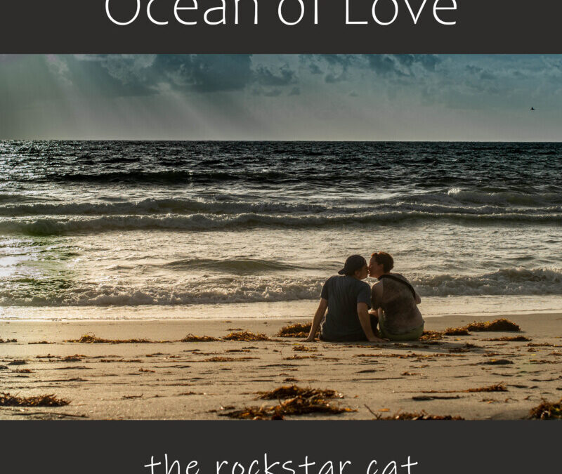 The Rockstar Cat (feat. Eddie Khoriaty) – Ocean of Love