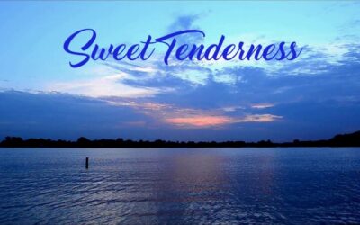 Terry S. McBride – “Sweet Tenderness”