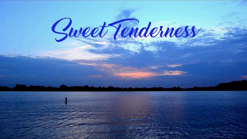 Terry S. McBride – “Sweet Tenderness”