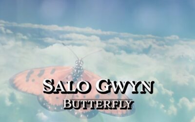 Salo Gwyn – Butterfly