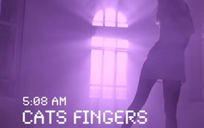 Cats Fingers – Don’t stop me