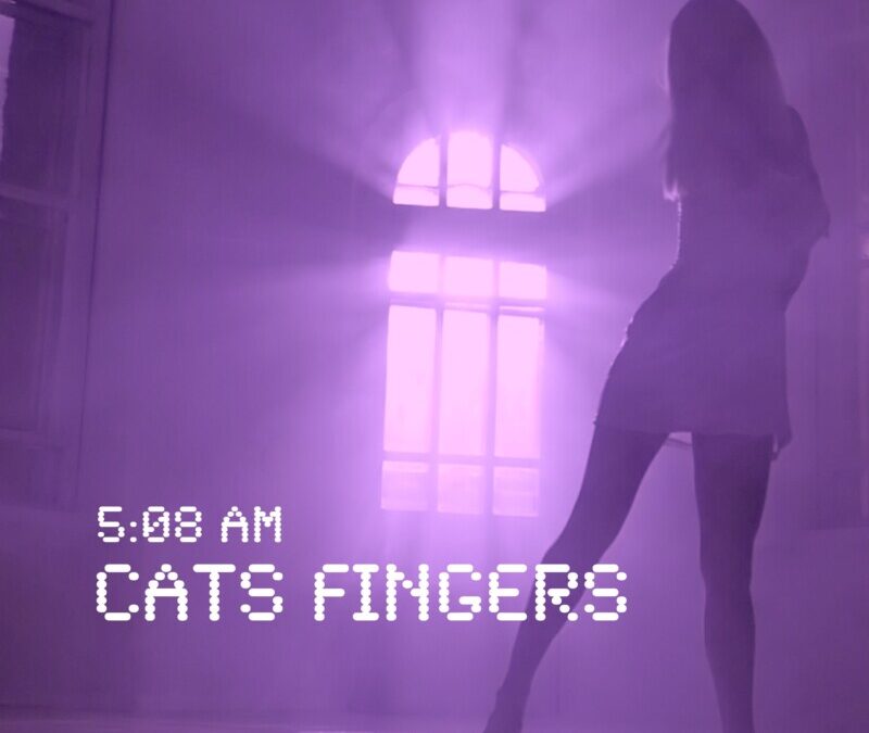 Cats Fingers – Don’t stop me