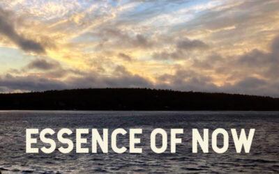 Daniel Walzer – Essence of Now