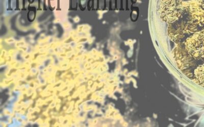 Paul Oates – Higher Learning