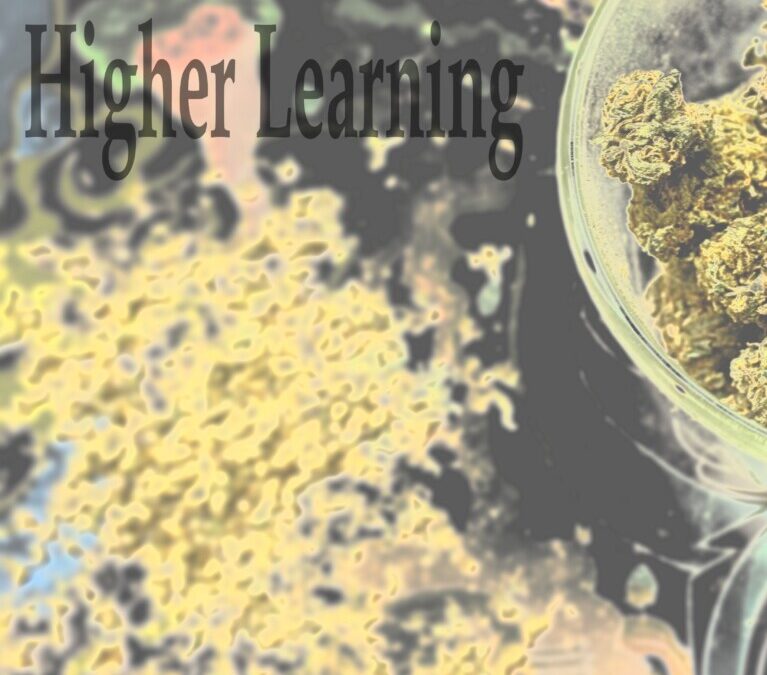 Paul Oates – Higher Learning