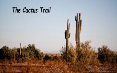 The Vic C Project – The Catus Trail