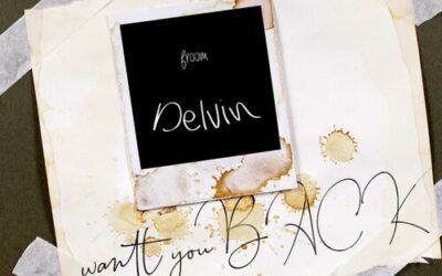 Delvin – Want you back