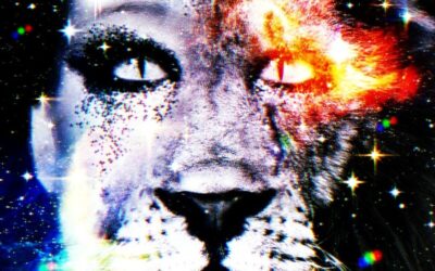 Remixedcat – The Cat Goes Wow