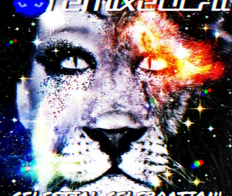 Remixedcat – The Cat Goes Wow