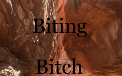 Jeff Kafel – Back Biting Bitch