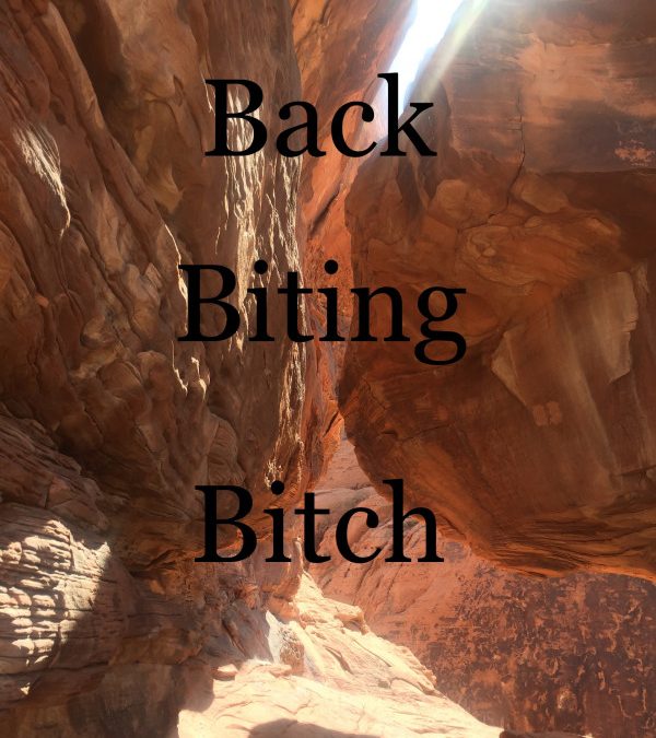 Jeff Kafel – Back Biting Bitch