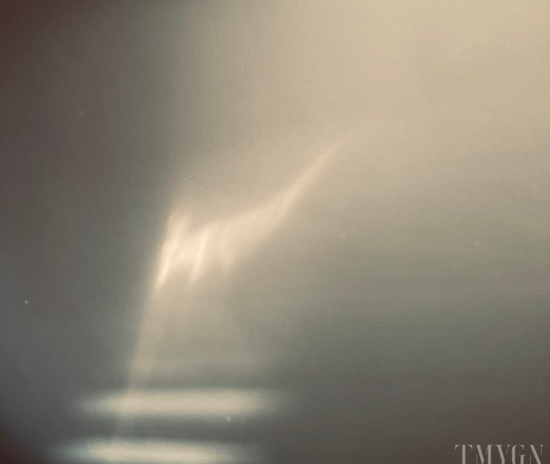 TMYGN – Ain’t I Great