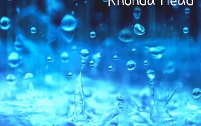 Rhonda VHead – Rain Dance (remix)