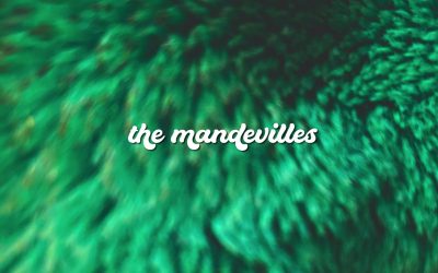 The Mandevilles – Junkie EP