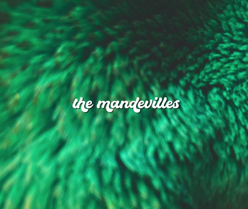 The Mandevilles – Junkie EP