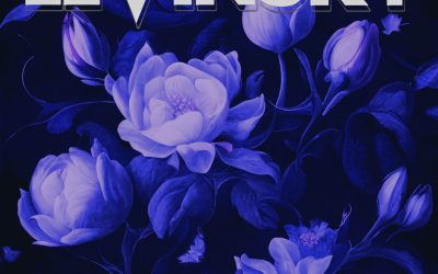 Levinsky – Midnight Garden