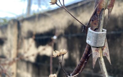 AD1NF1N1TUM – 1NTO THE VO1D