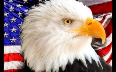 PETER ACE – MAKE IT HAPPEN