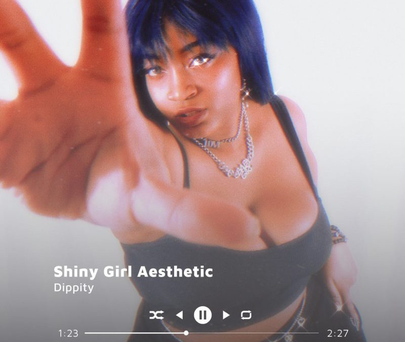 Dippity – shiny girl aesthetic