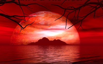 Mr B & The Wolf – Tuesday Moonlight