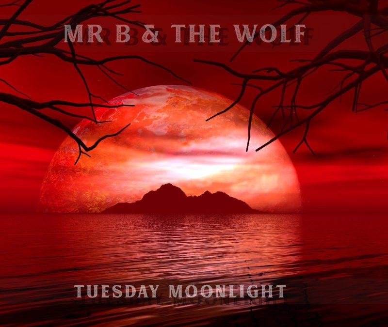 Mr B & The Wolf – Tuesday Moonlight