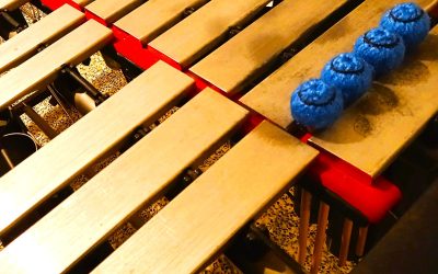 Roberto Celi – Searching