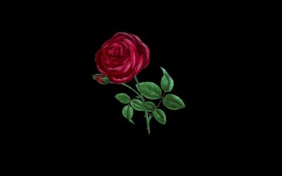 Roseman – Feelings