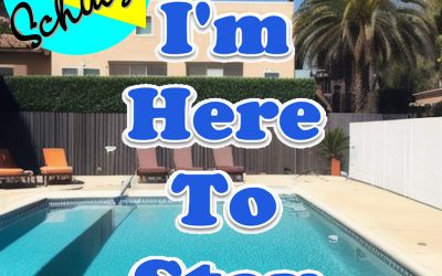 The Donald Schulz Project – Beach Talk