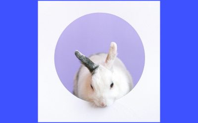 the Screaming Pope – Walking On Clouds