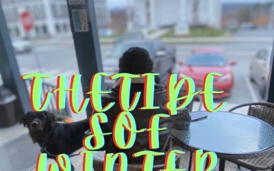 BENJAMMING BODENSTEIN – THETIDESOFWINTER