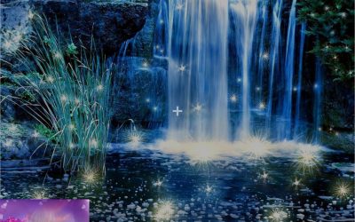 Anita Holm Lam – Fireflies and butterflies