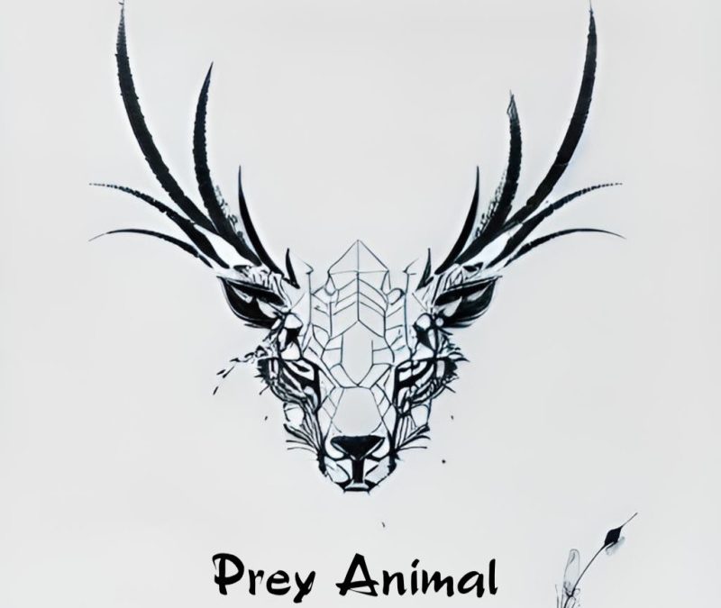 Justin Ward – Prey Animal