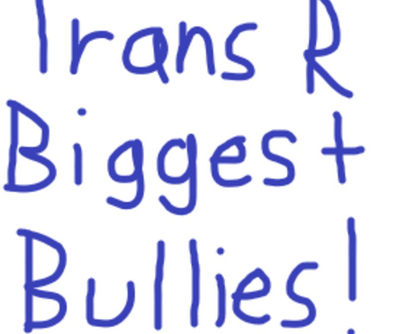 Geoff Moran – Trans People Are The Biggest Bullies!