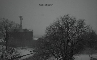 Watson Bradley – Watson Bradley Collection