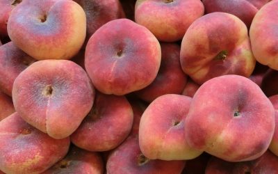 Whifing The Peaches – Funky Peach
